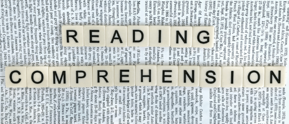 Reading Comprehension & Précis 2