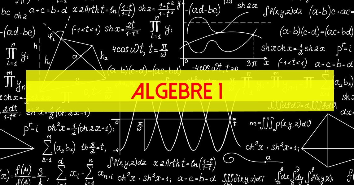 Algèbre 1 : Généralités et arithmétique dans Z